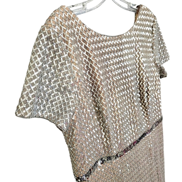 Nwot Adrianna Pappel Shortsleeve Silver Sequin Luxe Mesh/Tan Column Form… - Picture 11 of 17